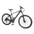 29 inch aluminium downhill mountain bicycle / kids mountain bike / double wall alloy rim mountain cycle mountainbike for sale